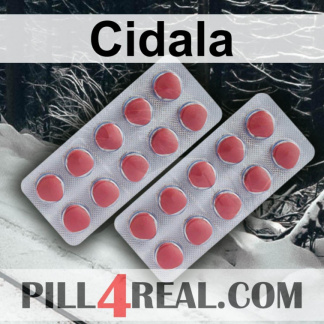 Cidala 955