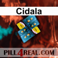 Cidala 967