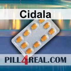Cidala 979