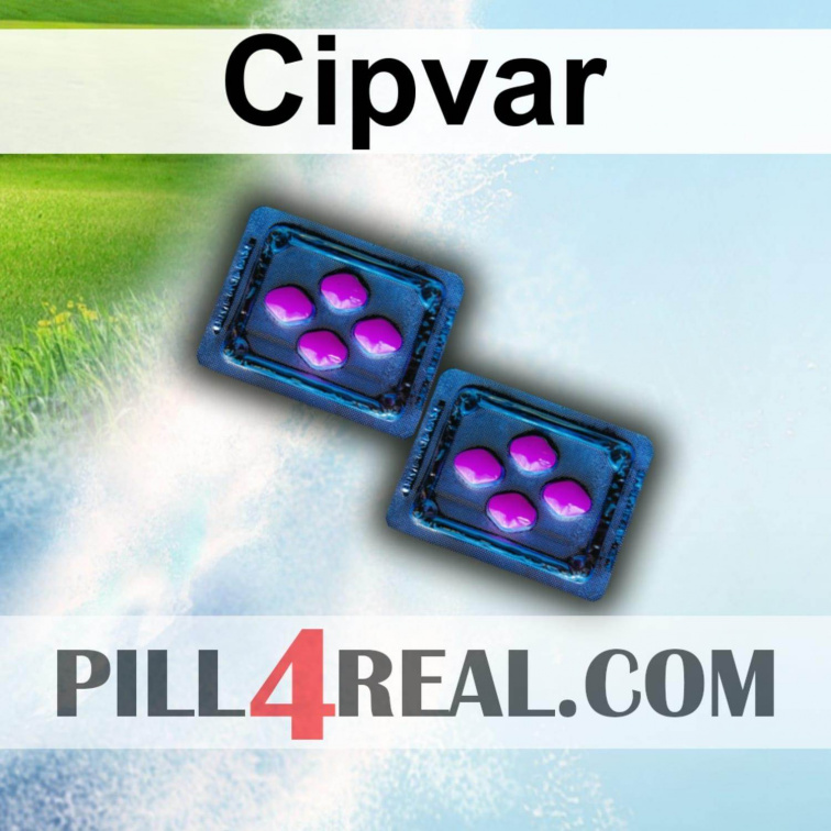 Cipvar 006