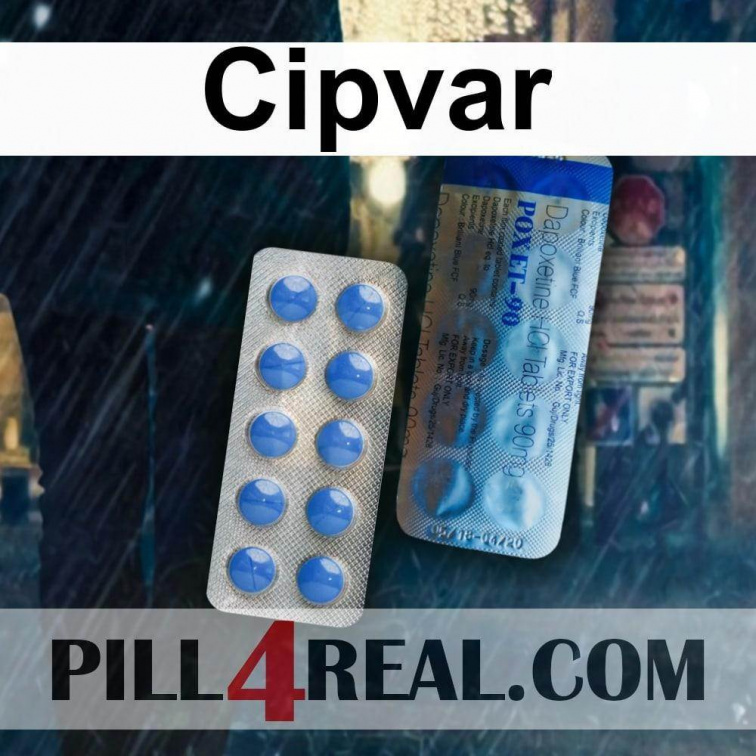 Cipvar 008