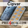 Cipvar 013