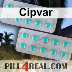Cipvar 069