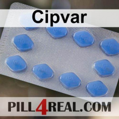 Cipvar 143