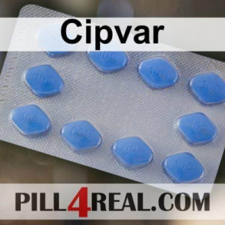 Cipvar 143