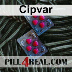 Cipvar 145