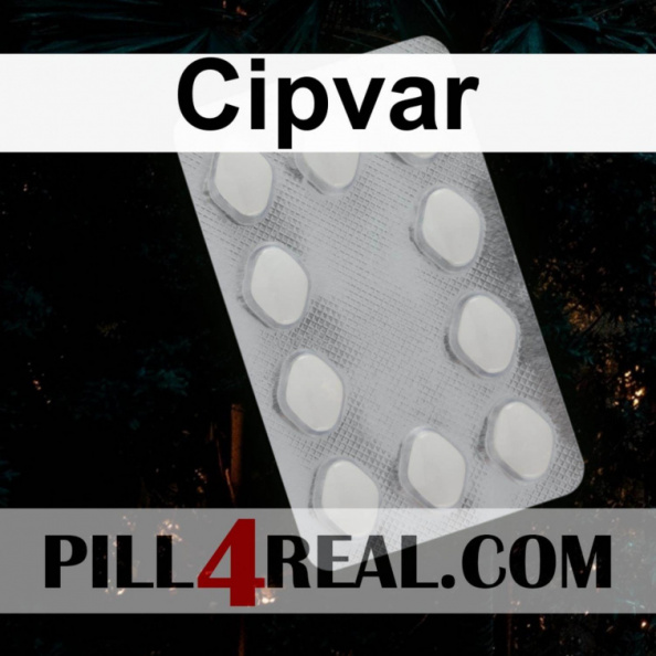 Cipvar 165