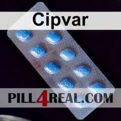 Cipvar 300