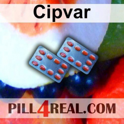 Cipvar 331