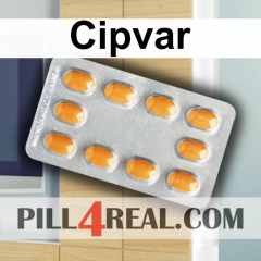 Cipvar 334