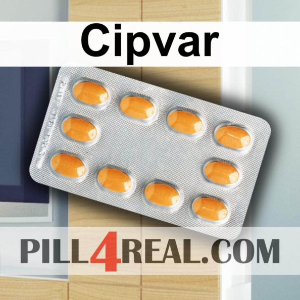 Cipvar 334