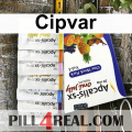 Cipvar 337