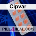 Cipvar 393