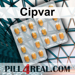 Cipvar 406