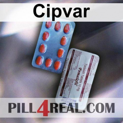 Cipvar 446