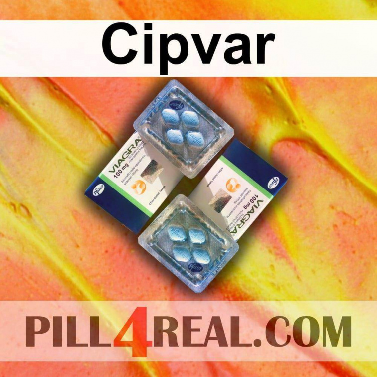 Cipvar 467