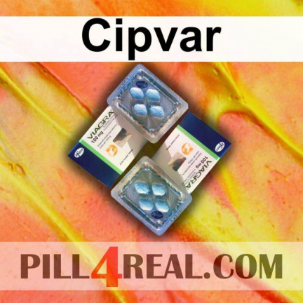 Cipvar 467