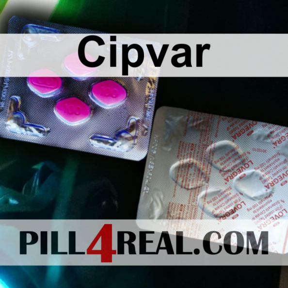 Cipvar 527
