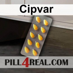 Cipvar 544