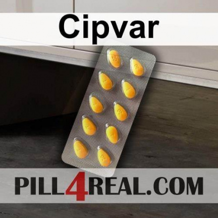 Cipvar 544