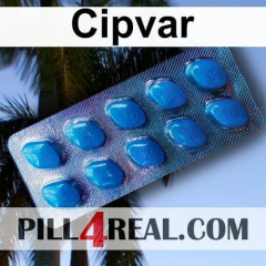 Cipvar 546