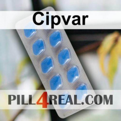 Cipvar 556