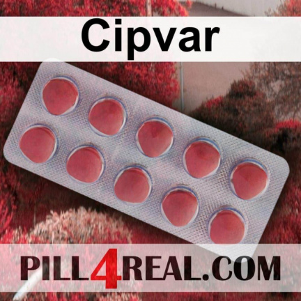 Cipvar 719