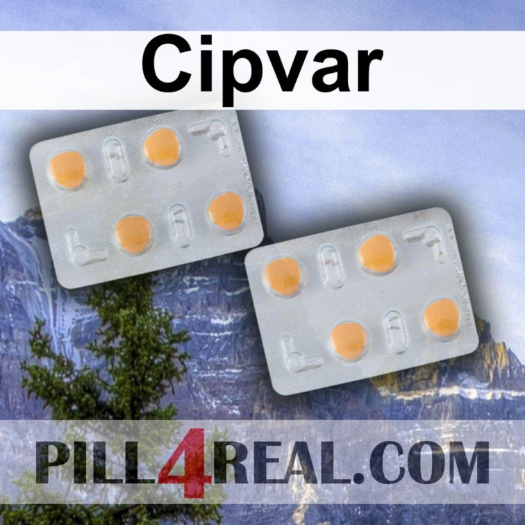 Cipvar 754