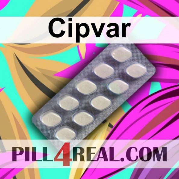Cipvar 804