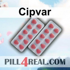 Cipvar 856
