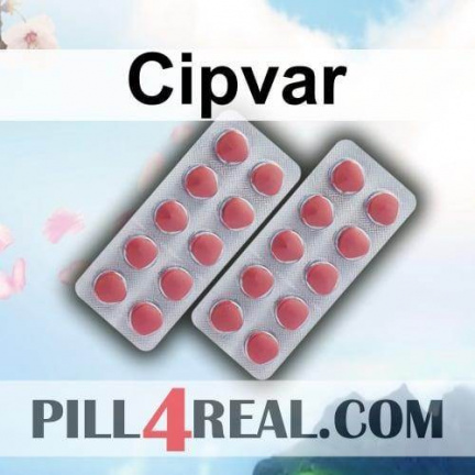 Cipvar 856