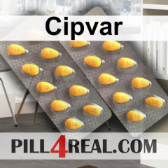 Cipvar 882