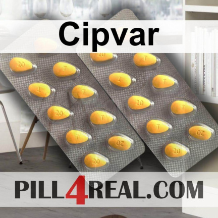 Cipvar 882