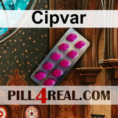 Cipvar 958