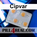 Cipvar 975