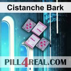 Cistanche Bark 046