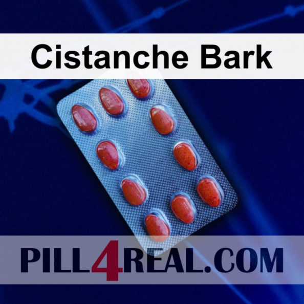 Cistanche Bark 052