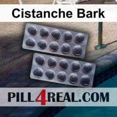 Cistanche Bark 057