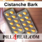Cistanche Bark 106