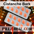 Cistanche Bark 280