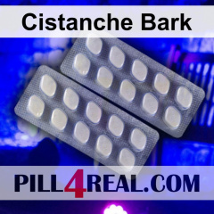 Cistanche Bark 505