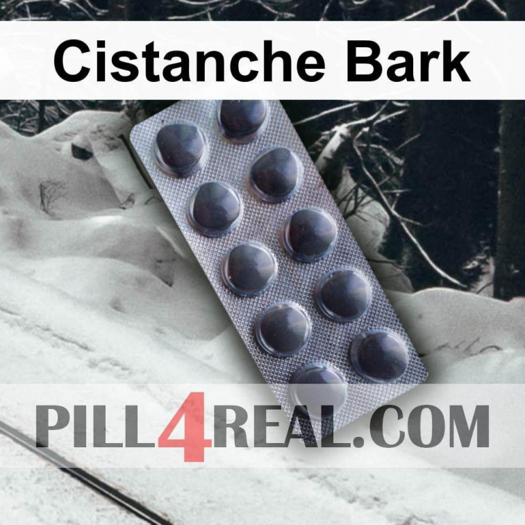 Cistanche Bark 592
