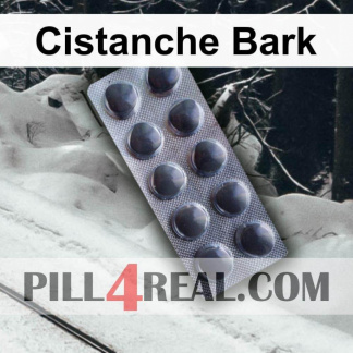 Cistanche Bark 592