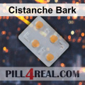 Cistanche Bark 609