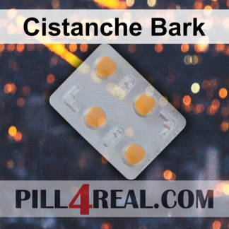 Cistanche Bark 609
