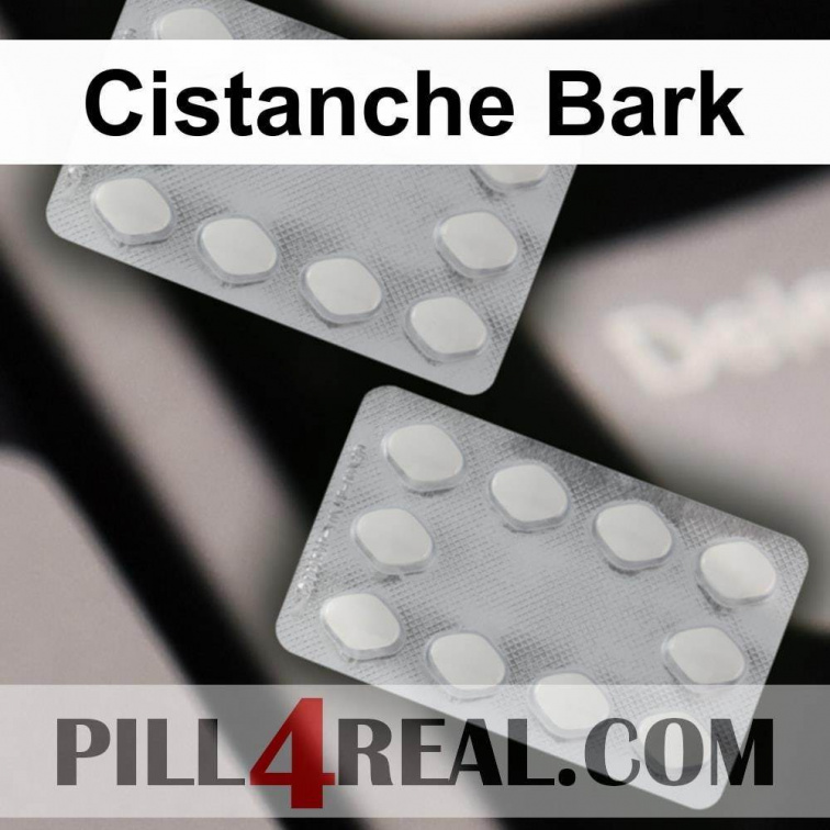 Cistanche Bark 698
