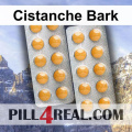 Cistanche Bark 786