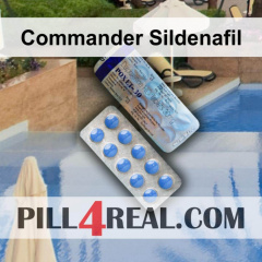 Commander Sildenafil 324