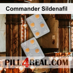 Commander Sildenafil 517