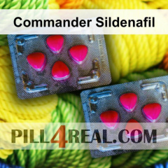 Commander Sildenafil 548